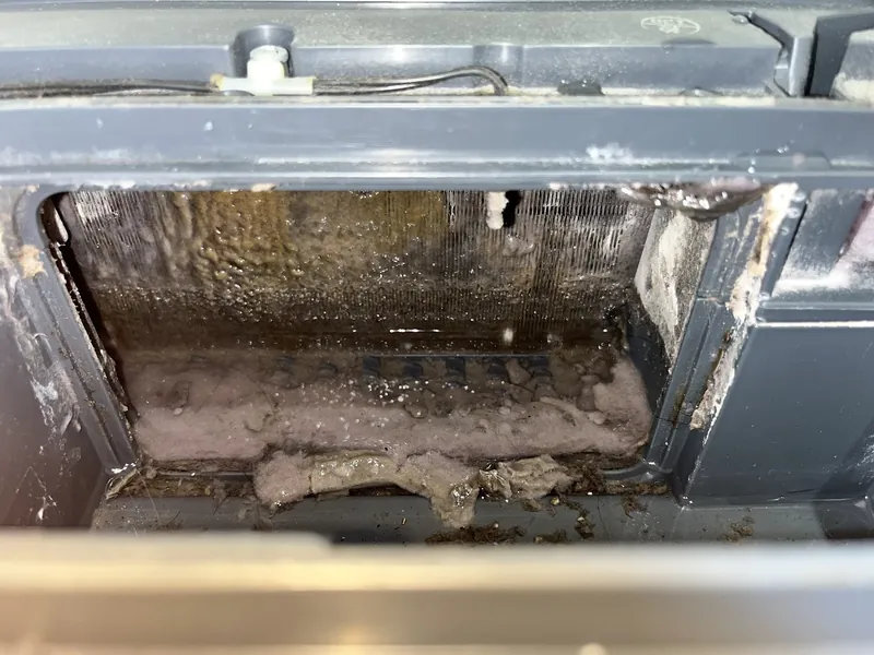施工前：糸くずとヘドロ状の汚れが溜まったドラム式洗濯機内部