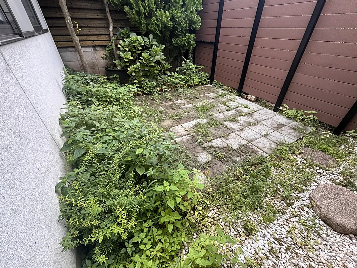 施工前：雑草が生い茂りタイルが見えない屋外スペース